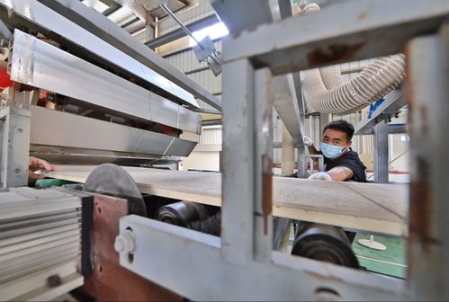 助力碳減排，我市首批8家建材企業獲評星級認證